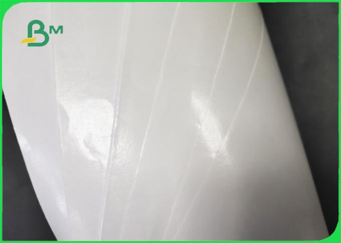 Πάχος 30 - ντυμένο άσπρο έγγραφο της Kraft χρώματος 350gsm PE στις σπείρες για τη διάφορη συσκευασία