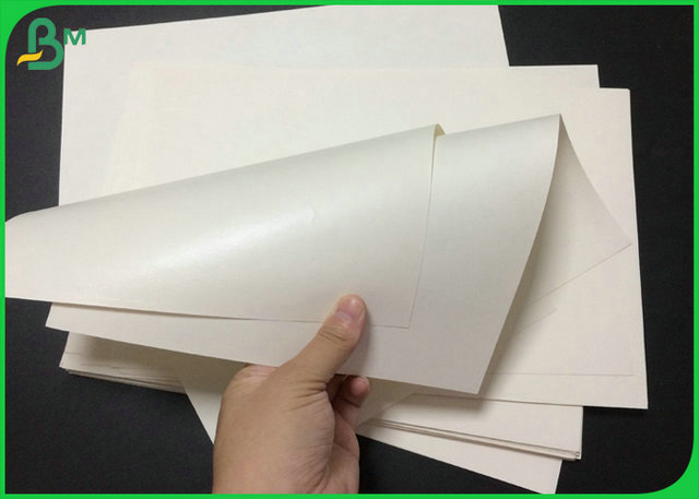 Αδιάβροχο έγγραφο φλυτζανιών χαρτονιού 190g 210g Foodgrade για την πρώτη ύλη φλυτζανιών εγγράφου