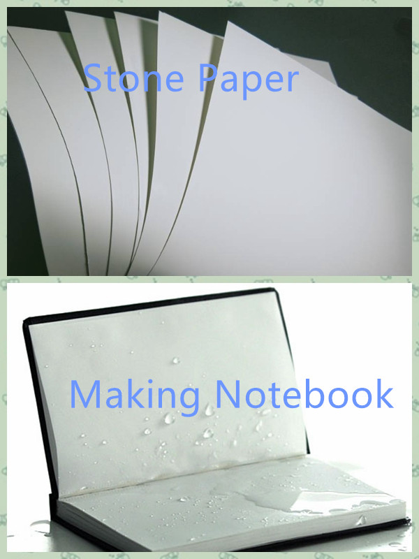 Αδιάβροχο σημειωματάριων το υλικό & ανθεκτικό πέτρινο έγγραφο δακρυ'ων συνδυάζει το πλαστικό