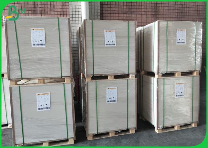 700mm πλάτους 300gsm υψηλό έγγραφο φλυτζανιών ακαμψίας χωρίς επίστρωση για την παραγωγή του φλυτζανιού εγγράφου