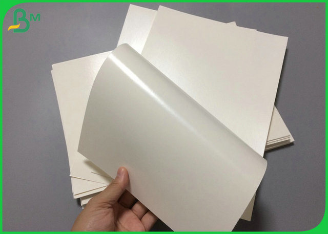 1 πλευρά αδιάβροχη 240gsm + 15gr ντυμένο έγγραφο PE λευκότητας PE υψηλό για το κύπελλο εγγράφου