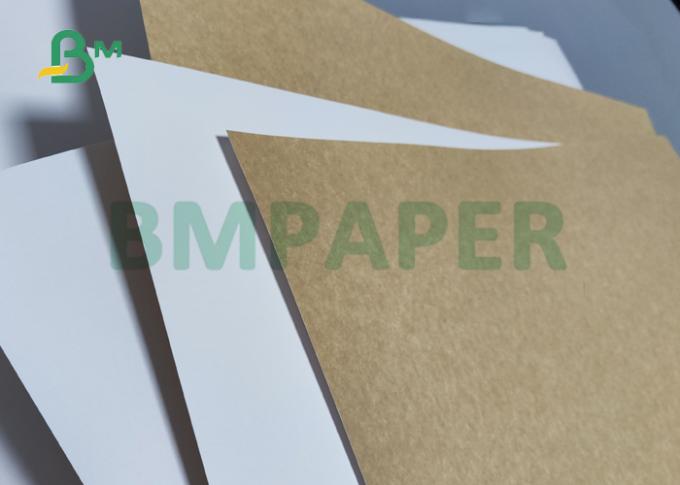 Πίσω πίνακας CCKB Kraft από τη Co. GUANGZHOU BMPAPER, ΕΠΕ