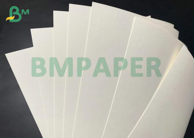 υψηλό ακαμψίας 768mm 250gsm χαρτί φλυτζανιών ξύλινου πολτού ντυμένο PE για το φλυτζάνι καφέ υψηλό ακαμψίας 768mm 250gsm χαρτί φλυτζανιών ξύλινου πολτού ντυμένο PE για το φλυτζάνι καφέ