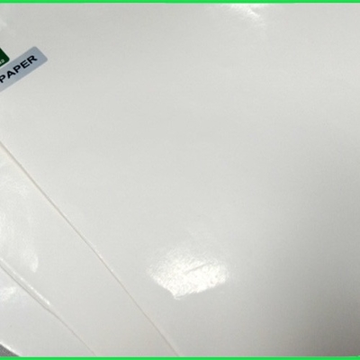 το περιβαλλοντικό θερμάνσιμο PE 300gr 350gr έντυσε το άσπρο φύλλο εγγράφου της Kraft για το φλυτζάνι