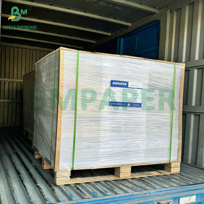 31 ιντσών 35 ιντσών 230 γραμμάρια 260 γραμμάρια PE επικαλυμμένο χαρτί κύκλωμα φλιτζάνια για φλιτζάνια καφέ