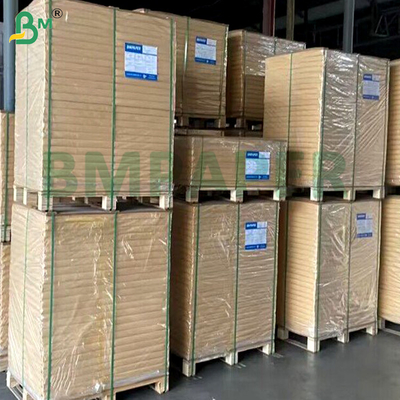 1073B 1059B Λευκό Θερμοσυγκολλητικό Χαρτί Dupont Υψηλού Φραγμού Βακτηρίων για Συσκευασία Φουσκάλων Ιατρικών Συσκευών