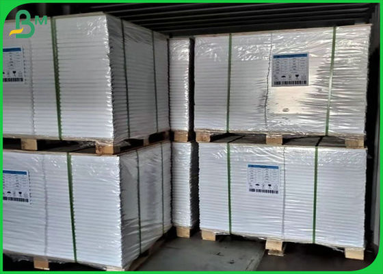 άσπρος ρόλος εγγράφου εκτύπωσης όφσετ 70lb 80lb με την πιστοποίηση FSC