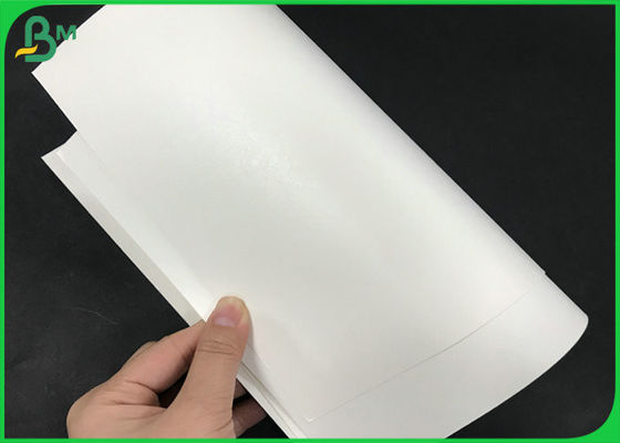 Ισχυρό αδιάβροχο 245gsm άσπρο ντυμένο έγγραφο ταινιών PE του Κραφτ + 15g για το φλυτζάνι εγγράφου καφέ