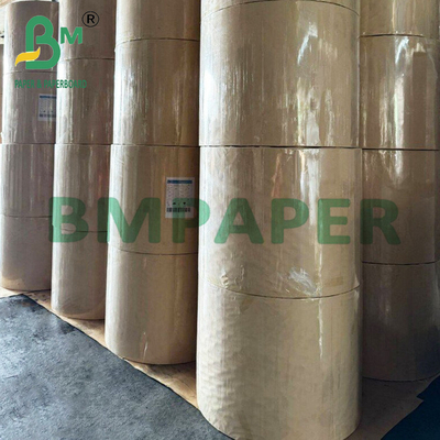 508mm 600mm Greaseproof χρωματιστά φλιτζάνια για ψήσιμο Επιστρώσεις χαρτί για μπισκότα μάφιν