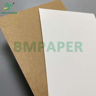 360gr 365gr White Face Kraft Reverse Food Grade Packaging Cardboard 31&quot; 43&quot;