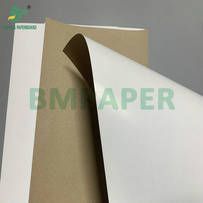 300gm 350gm SBS στερεό θειικό λευκαντικό για την παρασκευή διπλωμένου κουτιού
