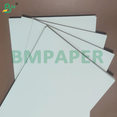 135-350 GSM Δύο μεγέθους PE επικαλυμμένο υδατοασφαλές χαρτί για φλιτζάνια και μπολ