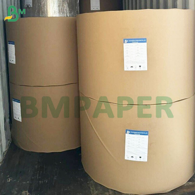 135-350 GSM Δύο μεγέθους PE επικαλυμμένο υδατοασφαλές χαρτί για φλιτζάνια και μπολ