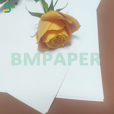 22-53mm Λευκό Φαγητό Ασφαλές Φασόλι Συσκευή Kraft Paper Rolls Εκτυπώσιμα