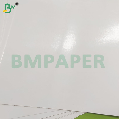 260 GSM Τροφικά υγρασία ανθεκτικά PE επικαλυμμένα κατεψυγμένα φύλλα χαρτί
