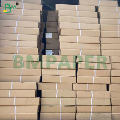 610mm πλάτος λευκό CAD plotter χαρτί με ακριβή εκτύπωση