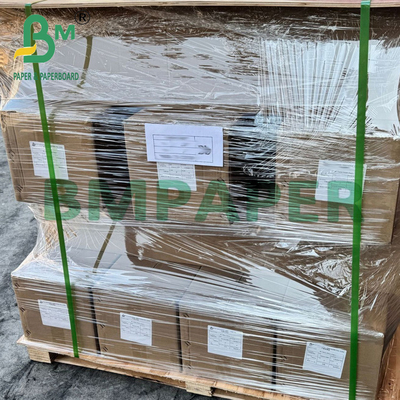 260g Αδιάβροχο αδιαφανές διπλές πλευρές κάλυψη ρητίνης RC φωτογραφικό χαρτί