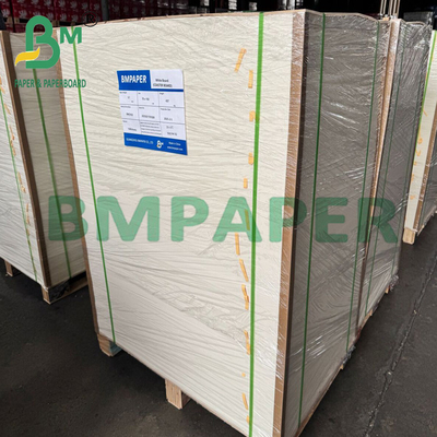 190g 210g Ρολ χαρτιού μίας χρήσης για καυτά ποτά 15g PE επικαλυμμένο