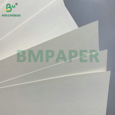 Ανθεκτικό στο νερό μονό PE επικαλυμμένο 190gm 210gm Cupstock για την κατασκευή ζεστών και κρύων χαρτοποιικών φλιτζανιών
