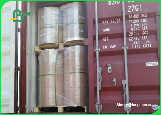 ρόλος εγγράφου χαρτονιού 230gsm 280gsm/υψηλό φύλλο εγγράφου ινών βαθμού τροφίμων απορρόφησης φυσικό απορροφητικό