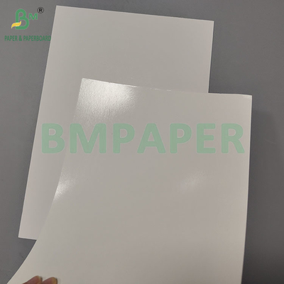 275gsm+15g PE Λευκό Αδιάβροχο Χαρτί για Κάρτες Κατεψυγμένων Τροφίμων για Συσκευασία Κατεψυγμένων Γαρίδων