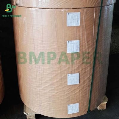 BPA Free Thermal Paper Jumbo Roll 48g - 80g for Cash Register Receipt
