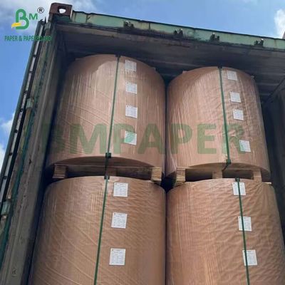 BPA Free Thermal Paper Jumbo Roll 48g - 80g for Cash Register Receipt