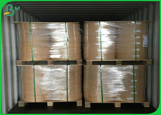 Eco - φιλικός ρόλος εγγράφου αχύρου 13.5mm 14mm 15mm 60gsm 120gsm για τα αβλαβή άχυρα