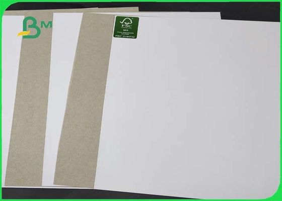 Μεγάλη εκτύπωση όφσετ ντυμένου εγγράφου αργίλου Stiffiness γκρίζα πίσω άσπρη δευτερεύουσα στους ρόλους