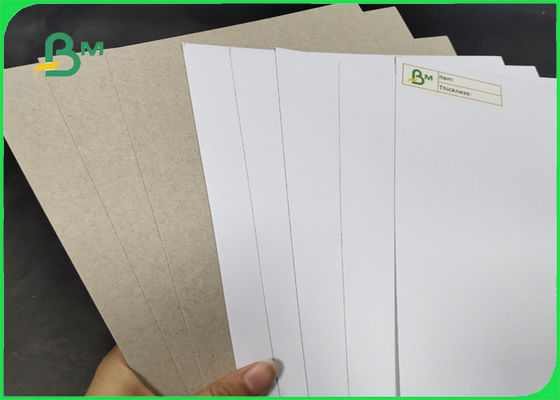 200 / 230gr C1S με το γκρίζο πίσω πλάτος 1250mm βαθμού AA με SGS & το FSC επικυρωμένα