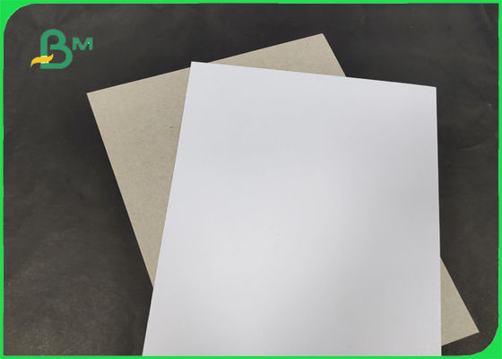 200 / 230gr C1S με το γκρίζο πίσω πλάτος 1250mm βαθμού AA με SGS & το FSC επικυρωμένα