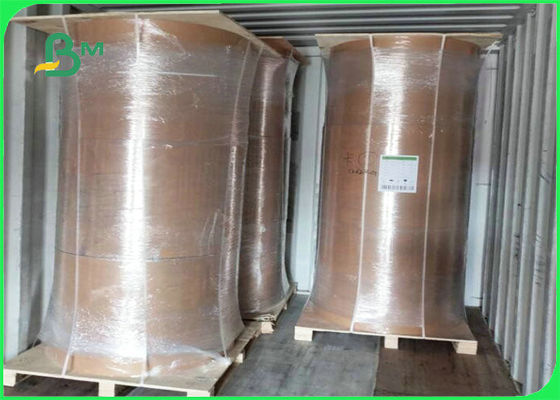 Υλικό χαρτόνι της Kraft κιβωτίων τροφίμων μεσημεριανού γεύματος αντίστασης λιπών 300GSM 350GSM