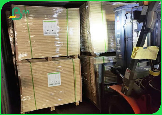 PE βαθμού τροφίμων ένα ντυμένο πλευρά PE εγγράφου 10g εγγράφου 210g Cupstock