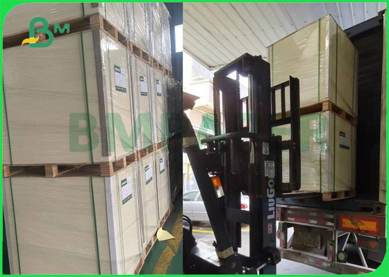 πίνακας τροφίμων 295gsm 325gsm C1S FBB για την καλή ακαμψία 25» Χ 37» κιβωτίων μπισκότων