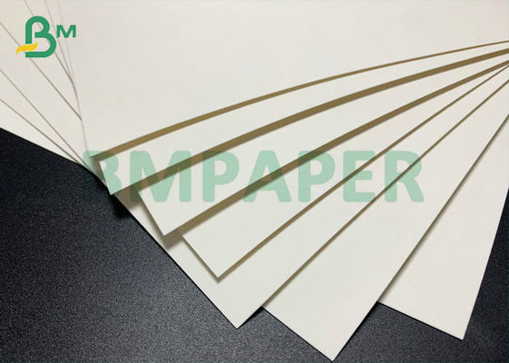 υψηλό ακαμψίας 768mm 250gsm χαρτί φλυτζανιών ξύλινου πολτού ντυμένο PE για το φλυτζάνι καφέ