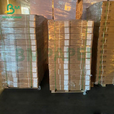 Α3 Α4 Inkjet εκτύπωση φωτογραφία στούντιο πορτρέτο φόντο φόντο χαρτί
