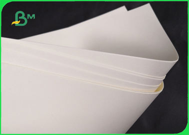 Βιοδιασπάσιμο έγγραφο βάσεων 190gsm 210gsm Cupstock για το κύπελλο 720MM 860MM τροφίμων