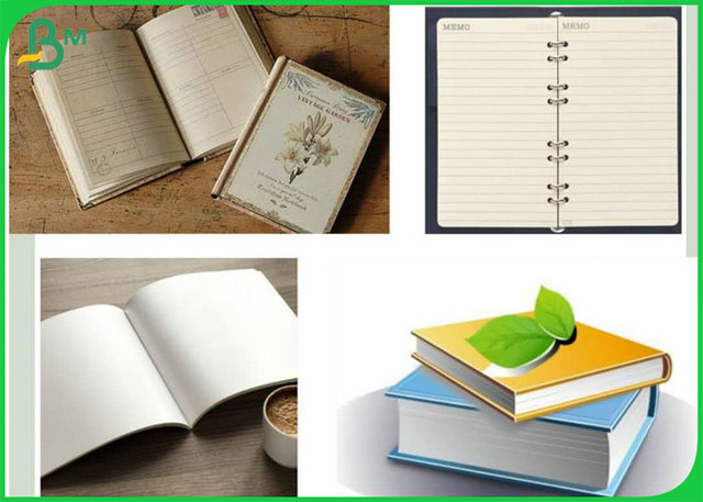 756mm 781mm ρόλος εγγράφου 2 δευτερεύων στιλπνός 50gr Woodfree για τη χειρωνακτική εκτύπωση προϊόντων