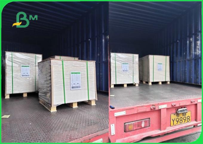 ντυμένο PLA χαρτόνι 230gsm 260gsm για το βιοδιασπάσιμο χρηματοκιβώτιο τροφίμων κύπελλων 100%