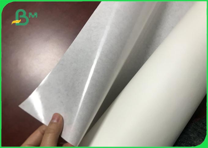 Έγγραφο 40gsm 60gsm 1 συσκευασίας τροφίμων ντυμένοι PE άσπροι τεράστιοι ρόλοι εγγράφου της Kraft