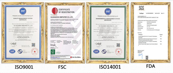 ΚΙΝΑ GUANGZHOU BMPAPER CO.,LTD