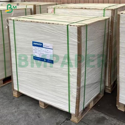 300gm Fold Resistance Cup Stock Paper Roll για ποτήρια ζεστών ποτών