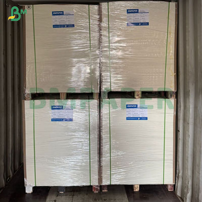 Χάρτινα χαρτιά για φλιτζάνια, με επικάλυψη PE, μονής όψης, ανθεκτικά στη λευκή θερμοκρασία