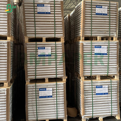 Λιπαρά Λευκά Καφέ Κίτρινα Πράσινα Χάρτινα Φλιτζάνια για Cupcake για Ψήσιμο