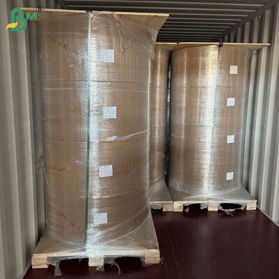 50gsm + 10g PE Coated Brown Kraft Liner For Straw Wrapping 80cm 90cm