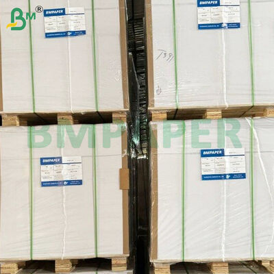 350gsm One Side Coated White Cardboard FBB Board for Packing