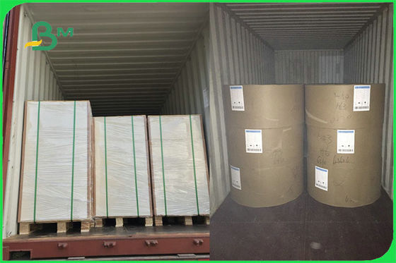 FSC ασφαλές FBB FDA άσπρο ντυμένο έγγραφο PE πινάκων 15g τροφίμων για το φλυτζάνι που κάνει τη συνήθεια