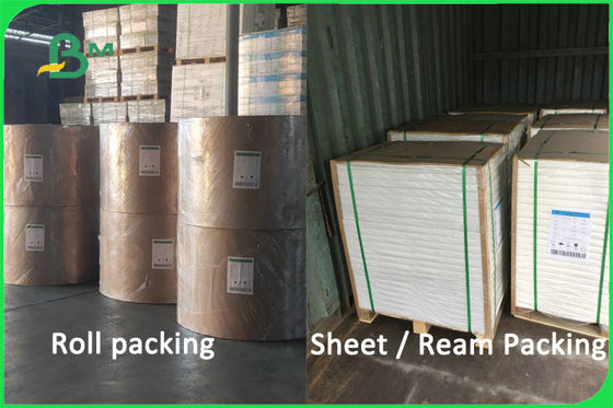 100% βιοδιασπάσιμο χωρίς επίστρωση υλικό 170 φλυτζανιών χαρτιού πολτού της Virgin - FDA FSC 300gsm