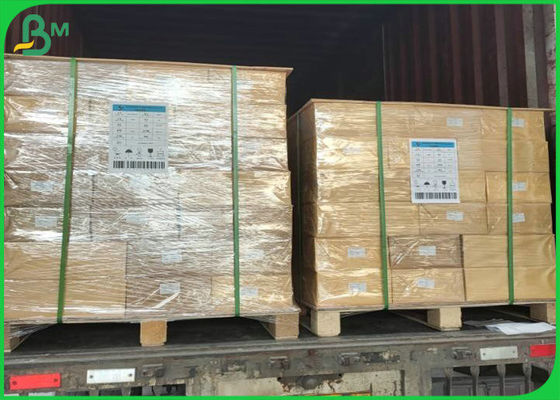 Μη δακρυ'ων 100um 130um παχιοί PP ρόλοι εγγράφου πολυπροπυλενίου συνθετικοί 1090mm πλάτος