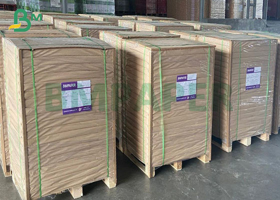 Τεράστια φύλλα εγγράφου εκτύπωσης ρόλων 40# 60# χωρίς επίστρωση άσπρα για το κείμενο όφσετ